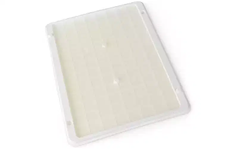 JT Eaton Stick-Em City Rat & Snake Glue Trap (2-Pack)