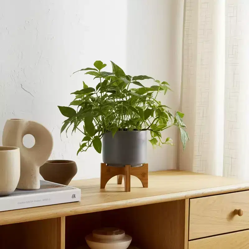 Modern Ceramic Planter with Stand - Ceramic Indoor/Outdoor Flower Pot - Minimalist Home & Garden Decor - Gray