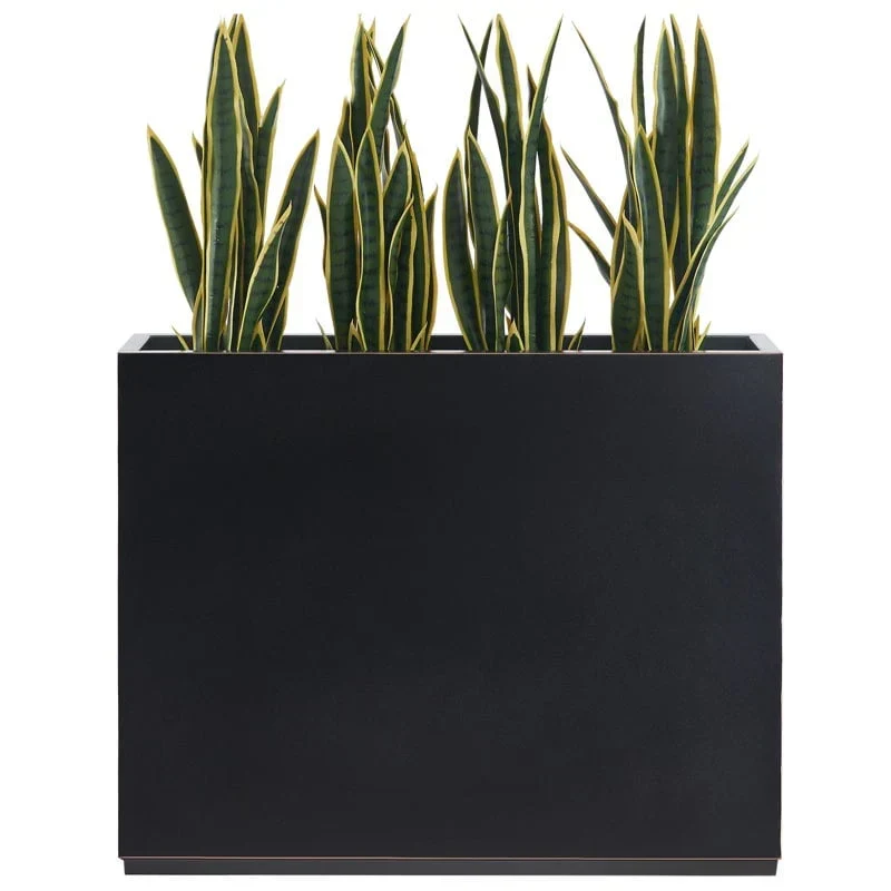 Fleurs & plantes