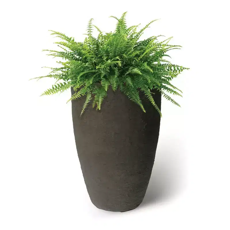 Algreen Products 87313 Athena 28.5 Self Watering Level Indicator Indoor Outdoor Plastic Planter with Overflow Drain, Brown