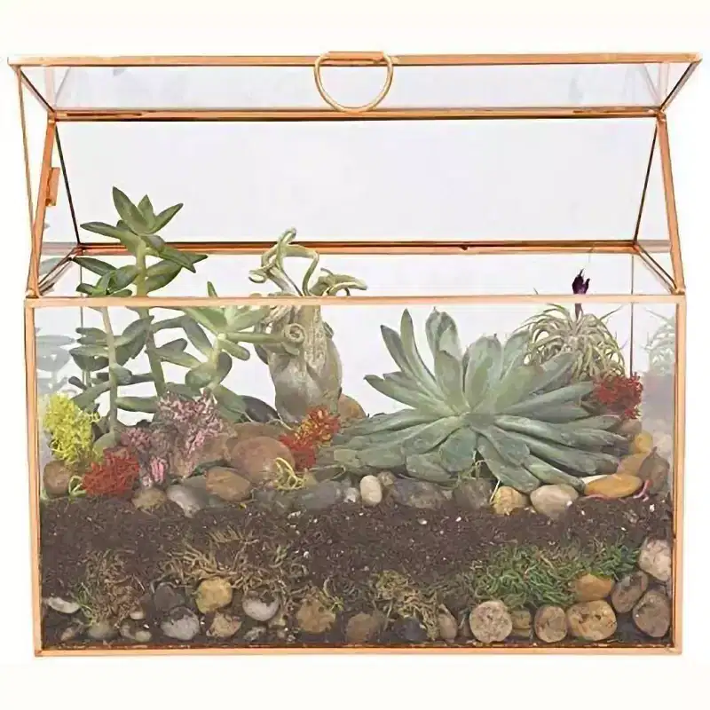 D'Eco Glass House Plant Terrarium (10x6x8) Tabletop Gold Geometric Planter Terrarium - Home, Garden, Office Decor- Great for Plant Lovers