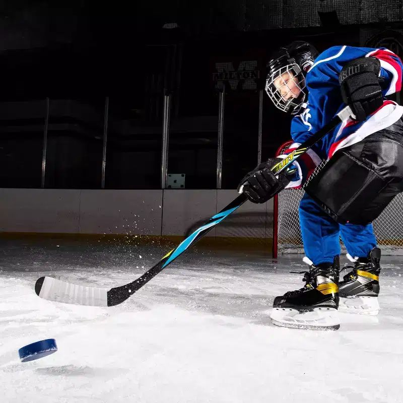 Franklin Sports Ice Hockey Puck Hockey Ball - One Unit