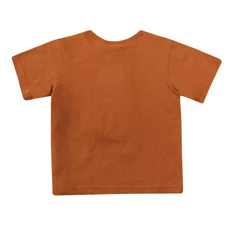 NCAA Texas Longhorns Toddler Boys' 2pk Short Sleeve and Long Sleeve T-Shirts