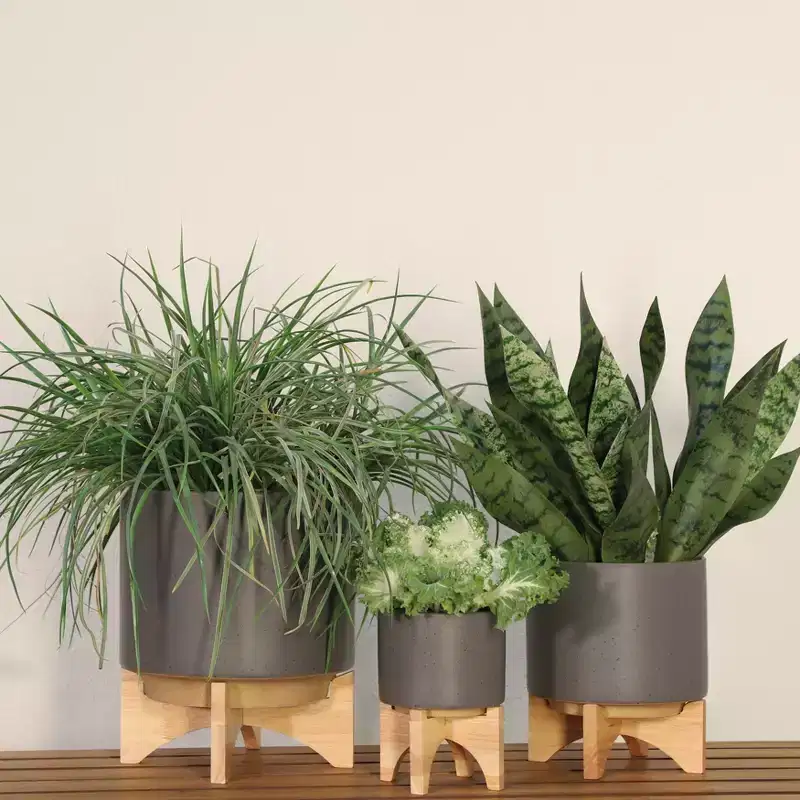 Modern Ceramic Planter with Stand - Ceramic Indoor/Outdoor Flower Pot - Minimalist Home & Garden Decor - Gray