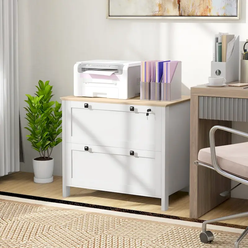 Lateral File Cabinet with 2 Drawers for Home Office, Filing Cabinet with Lock, Adjustable Hanging Bar for Letter, A4