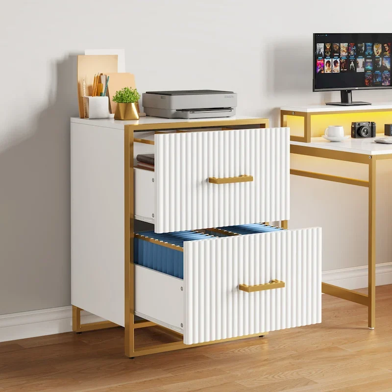 2 Drawer File Cabinet with Gold Frame Filing Cabinet for Letter Size Printer Stand
