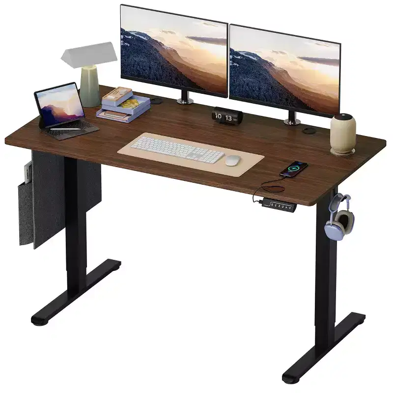 55 Electric Standing Computer Desk with USB Port, Height Adjustable Home Office Desk with Hooks and Side Bag