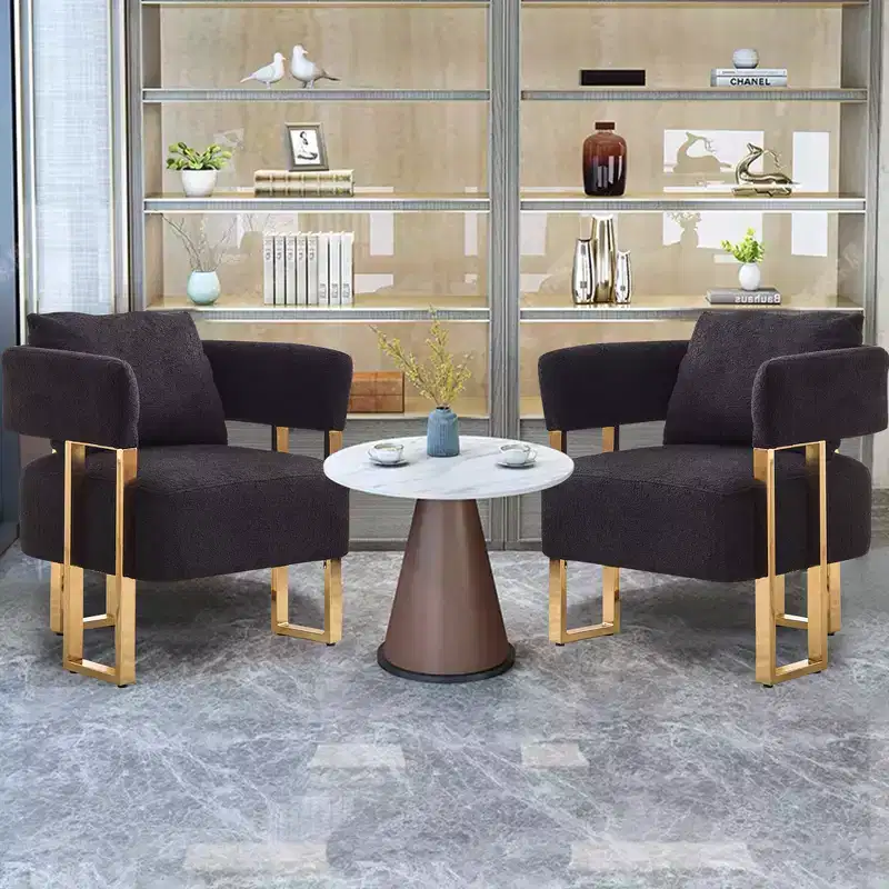 Modern Accent Chairs Set of 2, Teddy Fleece Upholstered with Gold Metal Legs