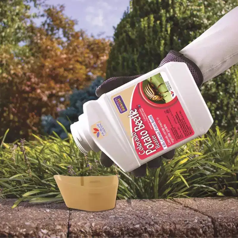 Bonide Colorado Potato Beetle Beater, Insect Killer Liquid, Concentrate - 16 fl oz
