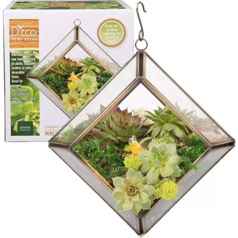D'Eco Glass Mini Diamond Plant Terrarium (5 x 5 x 3.5) - Indoor Tabletop Copper Geometric Planter Decor - Gift for Plant Lovers