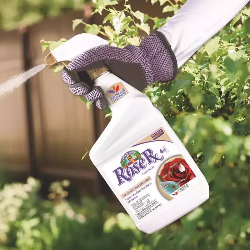Captain Jack's Rose Rx Disease and Insect Control, Liquid, Ready-to-Use - 32 fl oz