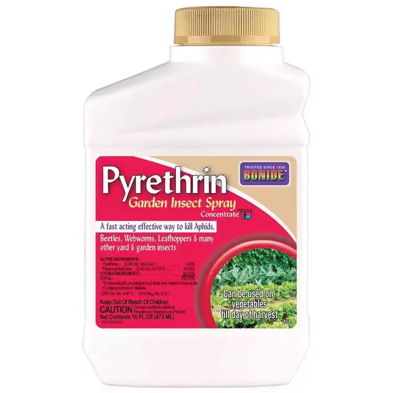 Bonide Pyrethrin Insect Killer Liquid, Concentrate - 16 fl oz