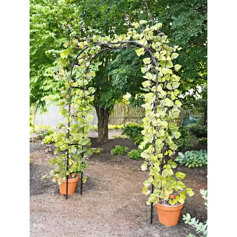 Gardener's Supply Company Titan Arch Arbor Garden Trellis | Sturdy Tall Garden Arch Plant Support for Climbing Plants, Vines and Flowers | Elegant
