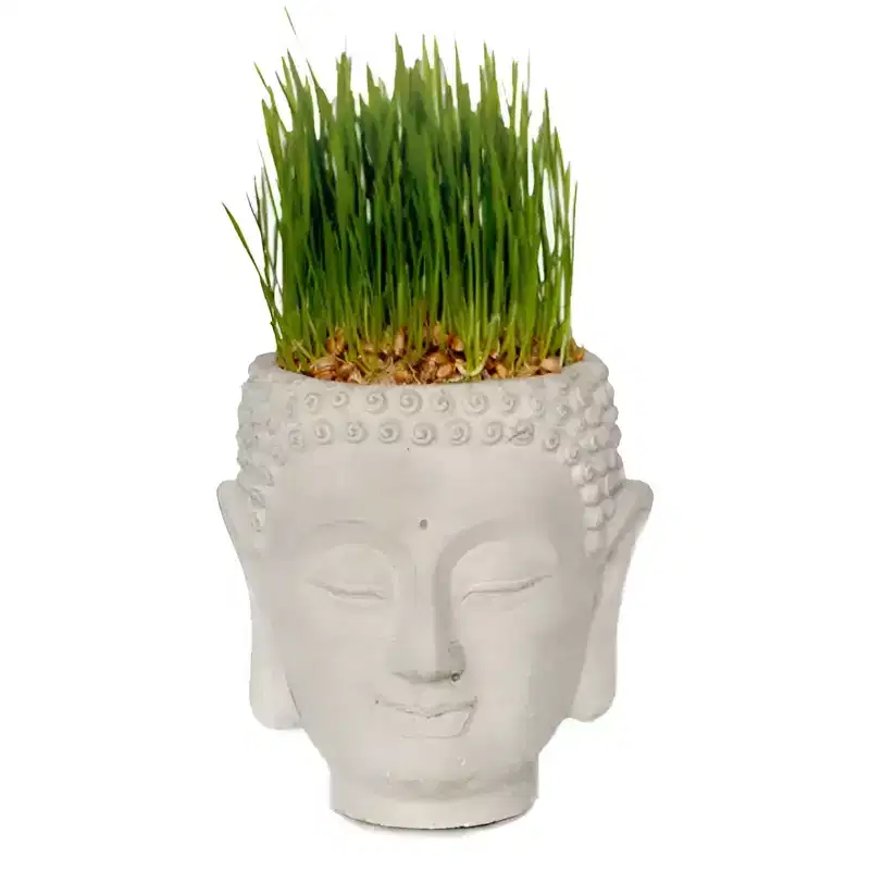 Slickblue White Cement Buddha Head Planter, Decorative Vase or Candle Accent, Indoor Tabletop, 5x4.5x5.25