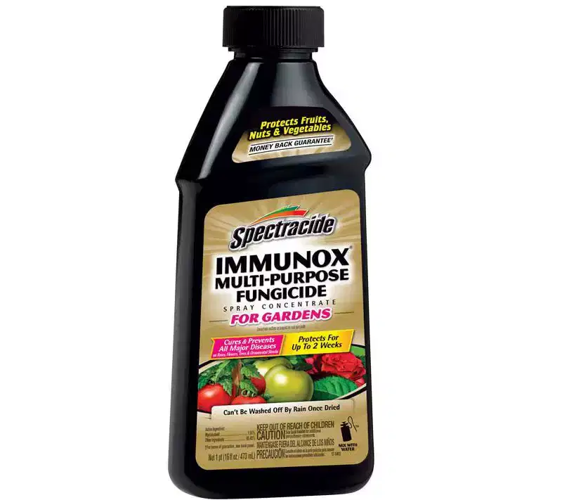 Spectracide Immunox Concentrated Liquid Garden Fungicide 16 oz