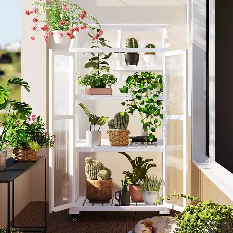 Large Wood Greenhouse with Portable Cold Frame, Wheels & Adjustable Shelves, Indoor/Outdoor Use