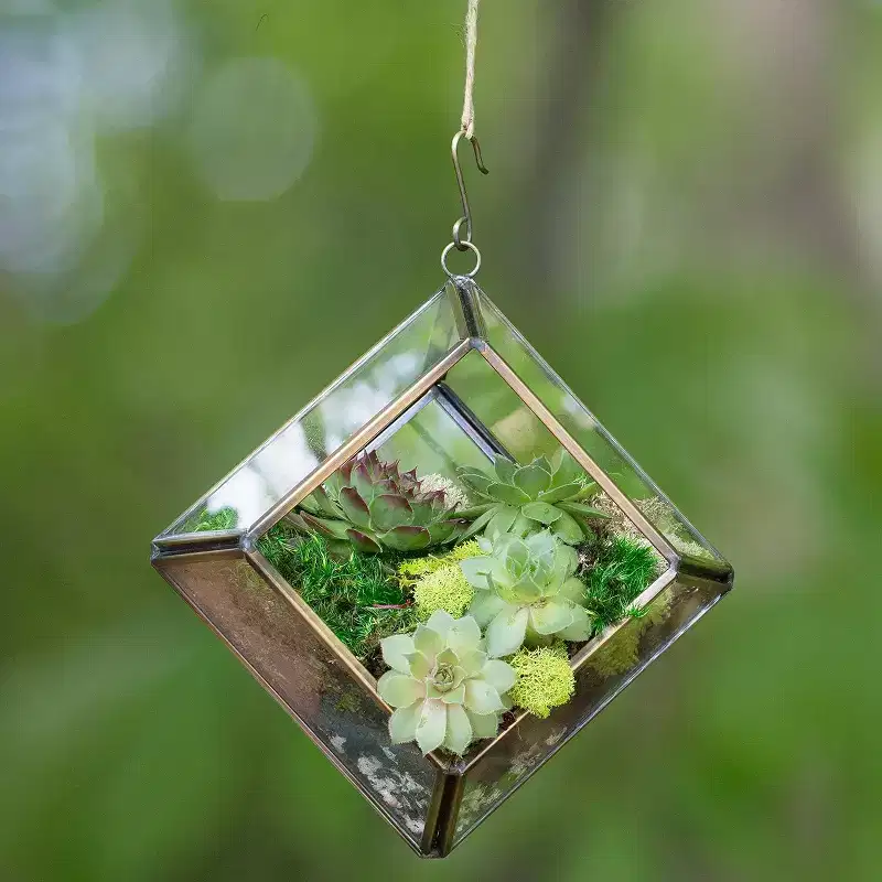 D'Eco Glass Mini Diamond Plant Terrarium (5 x 5 x 3.5) - Indoor Tabletop Copper Geometric Planter Decor - Gift for Plant Lovers