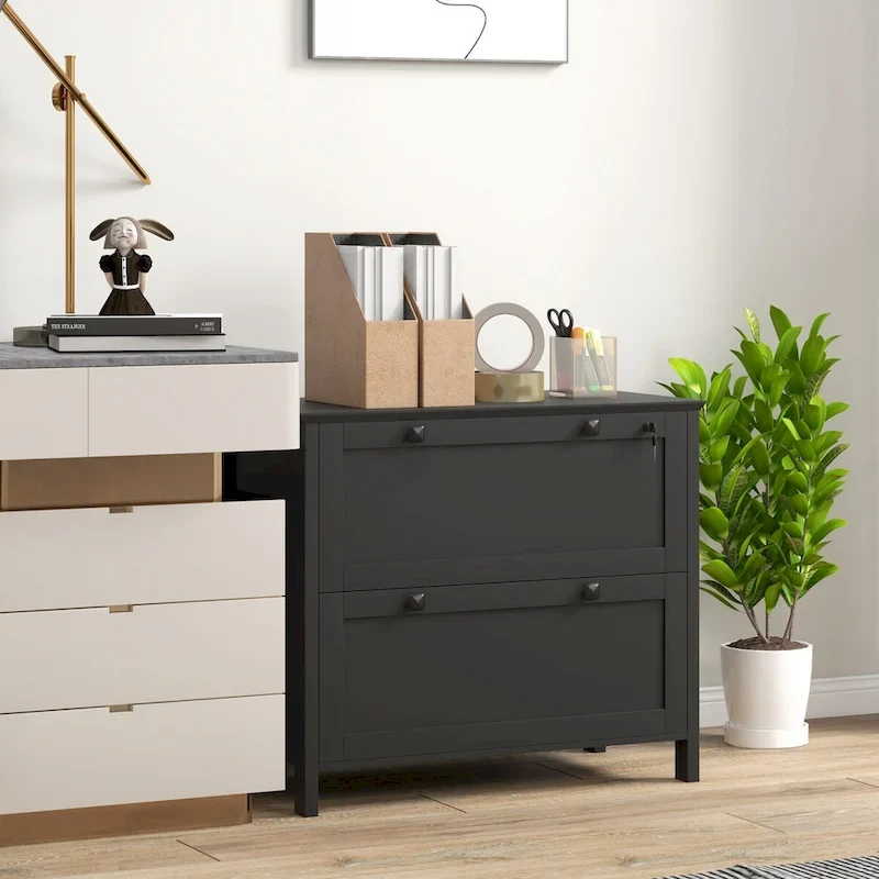 Lateral File Cabinet with 2 Drawers for Home Office, Filing Cabinet with Lock, Adjustable Hanging Bar for Letter, A4