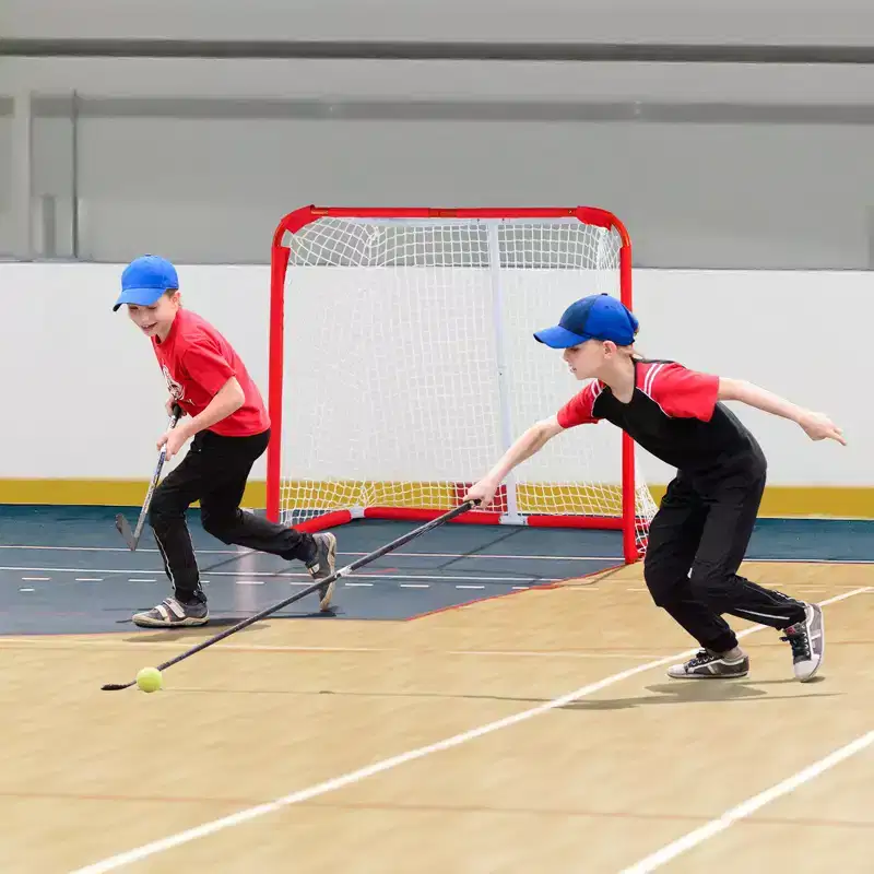 VEVOR Youth Street Hockey Net, Indoor Outdoor Steel Hockey Goal, Portable Lightweight Youth Street + Roller for Kids