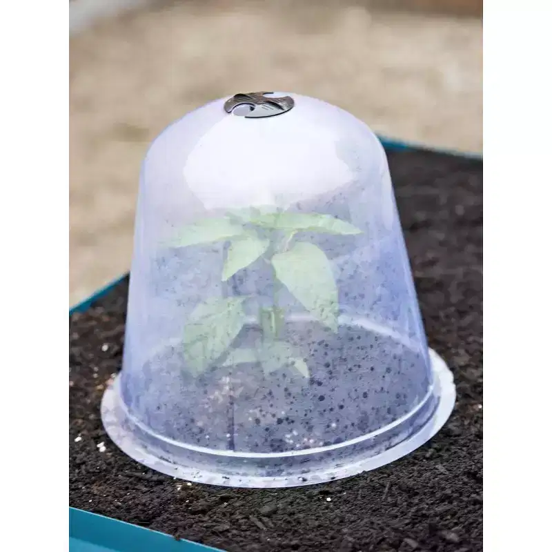 Gardeners Supply Company Large Garden Cloche Plant Protector | Clear Sturdy PVC Plants Bell Dome Heat & Freeze Cover with Top Hole Ventilation for