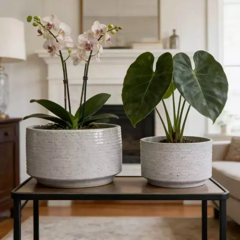 Okak Handmade Ceramic Planter with Vertical Ridges Set of 2, Flower Pots with Breathable Non-Porous Clay, Planters for Tabletop and Bookshelf, White