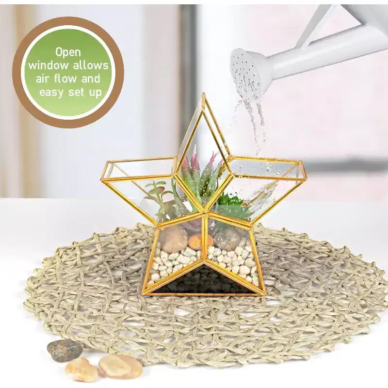 D'Eco Glass Star Plant Terrarium - Tabletop Gold Trimmed Planter - Succulents, Air Plants, Moss, Fern - Home, Office & Decor- Gift for Plant Lovers