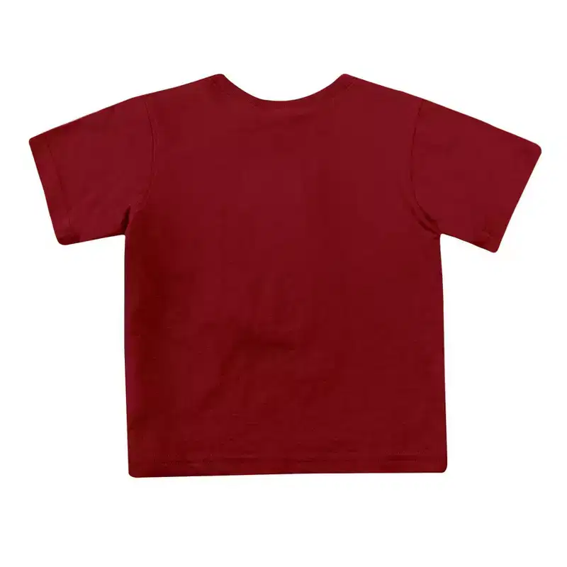 NCAA South Carolina Gamecocks Toddler Boys' 2pk Short Sleeve and Long Sleeve T-Shirts