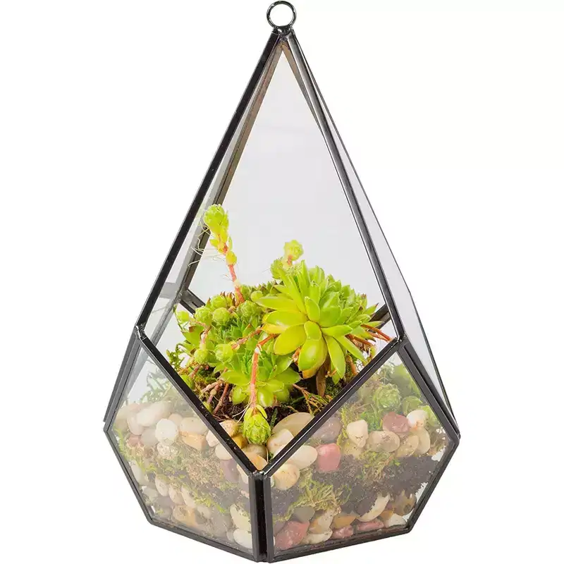 D'Eco Glass Geometric Plant Terrarium, Tabletop & Hanging Teardrop Planter- Home, Garden, Wedding & Office Decor- Gift for Plant Lovers