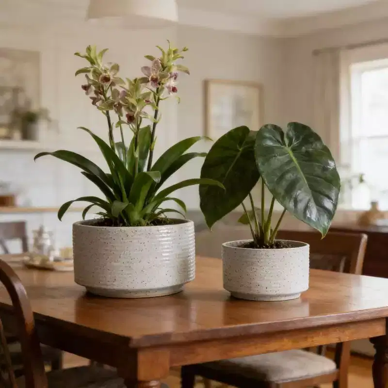 Okak Handmade Ceramic Planter with Vertical Ridges Set of 2, Flower Pots with Breathable Non-Porous Clay, Planters for Tabletop and Bookshelf, White