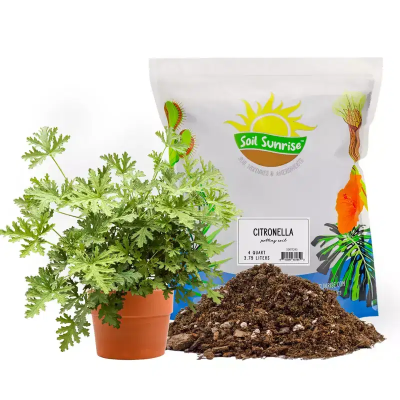Soil Sunrise Citronella Plant Potting Soil Mix, for Pelargonium Citrosum, Indoor/Outdoor Container Gardening