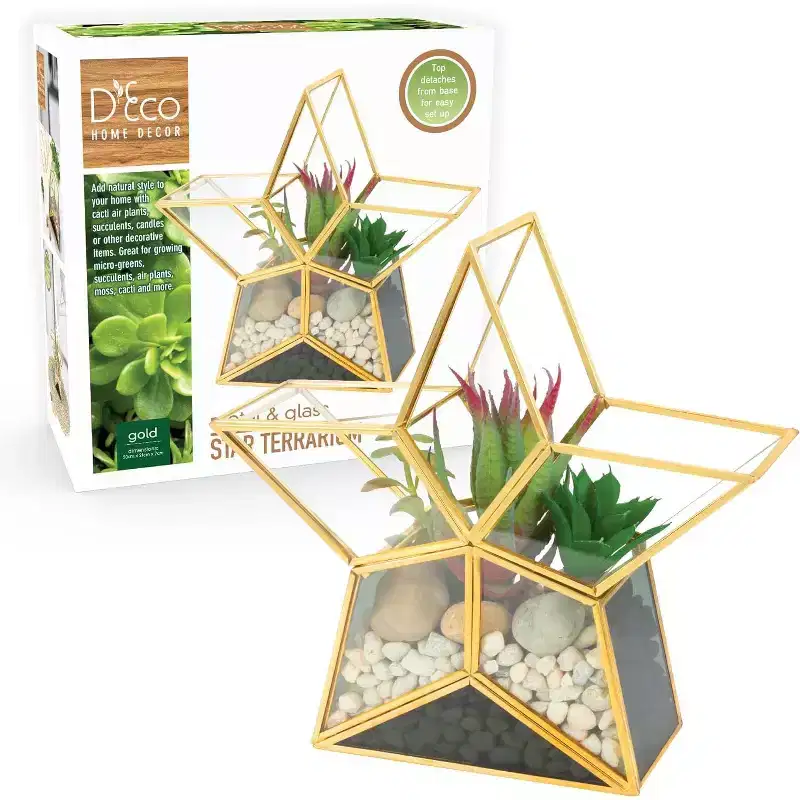 D'Eco Glass Star Plant Terrarium - Tabletop Gold Trimmed Planter - Succulents, Air Plants, Moss, Fern - Home, Office & Decor- Gift for Plant Lovers