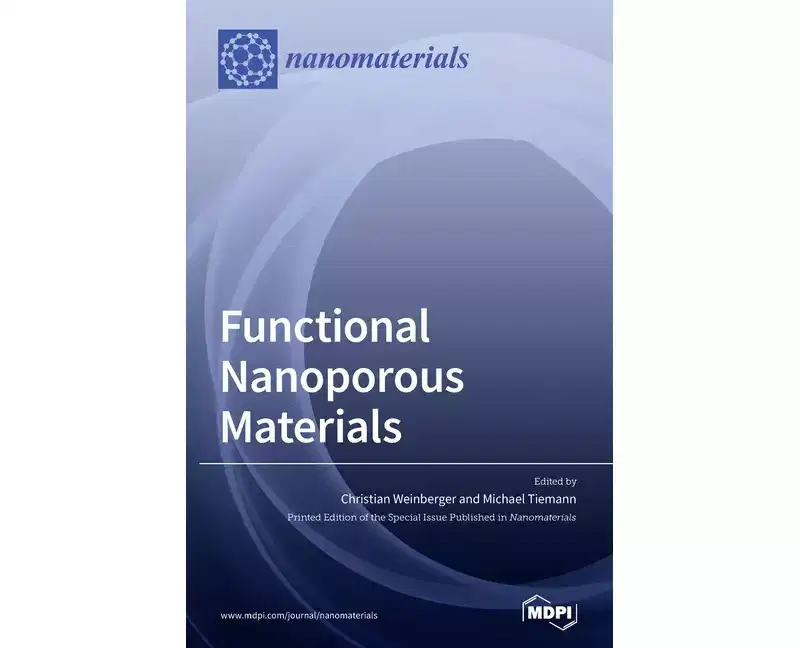 Functional Nanoporous Materials - (Hardcover)