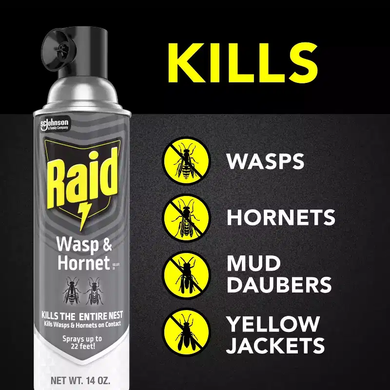 Raid Wasp & Hornet Spray - 2ct/14oz each