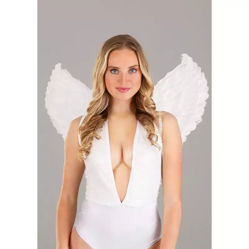 HalloweenCostumes.com Women Divine Angel White Wings, White