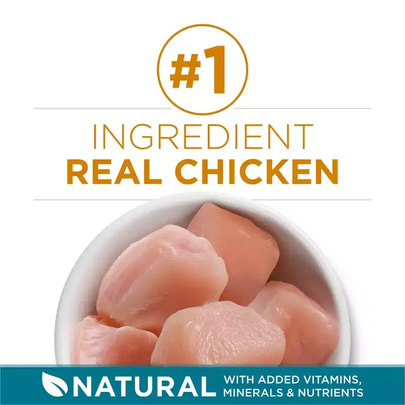 Purina ONE Tender Selects Natural Dry Cat Food with Real Chicken - 7lbs