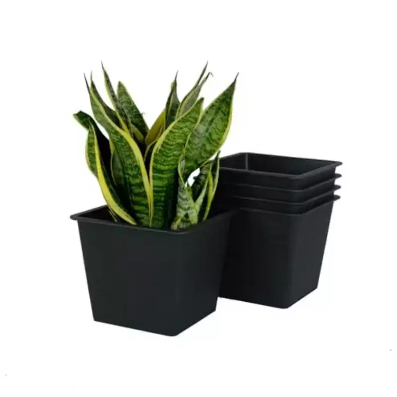 Plastic Nursery Pots, 7.5 Inch Square Garden Planters with Drainage Holes, 5-Pack, Black4, for Indoor Outdoor Gardening