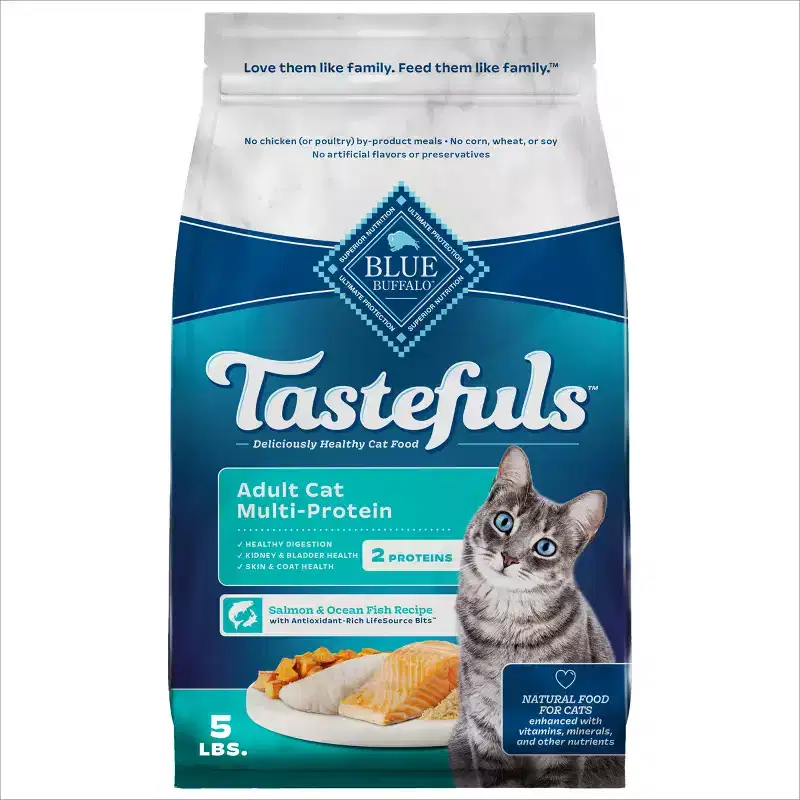 Nourriture pour chat