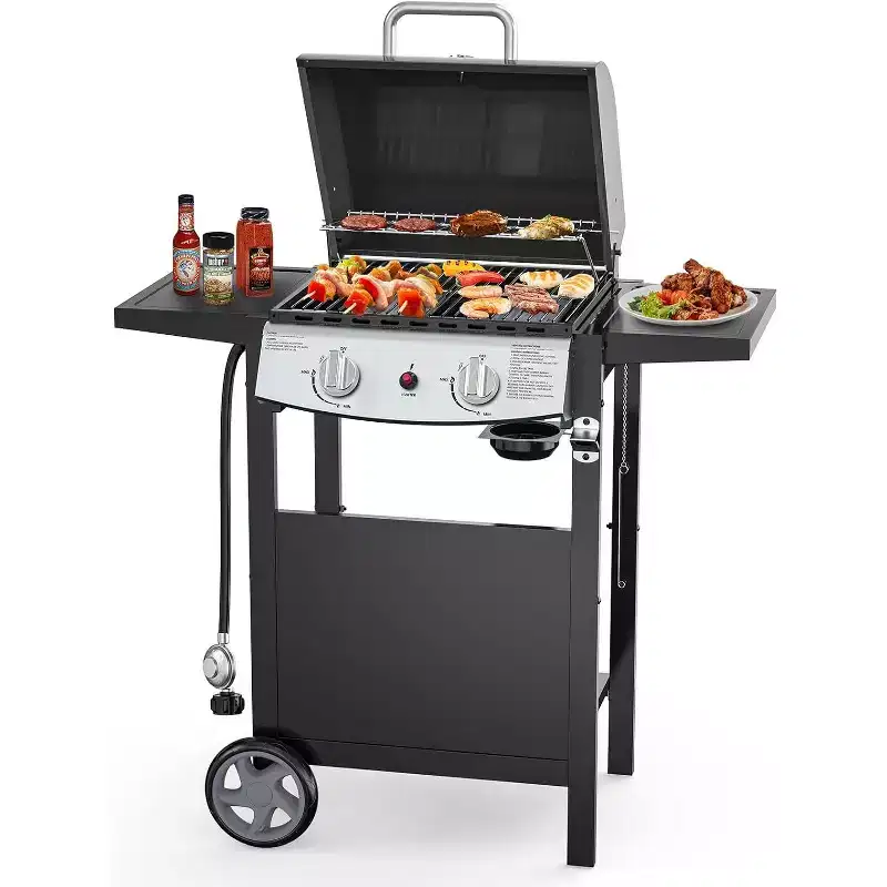 ZAFRO 2-Burner Propane Gas BBQ Grill, 20,000 BTU Stainless Steel Grill with Side Shelves and Wheels, Portable Outdoor Grill
