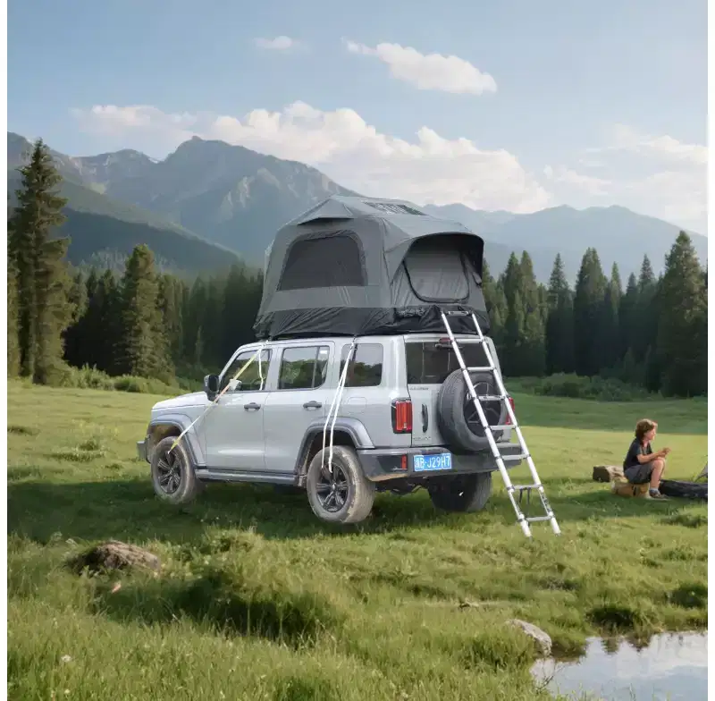 Whisen Patio Truck Roof Tent, Outdoor Car SUV Roof Tent Inflatable, Roof Top Camping Tent for 2 Person, Easy to Set Up