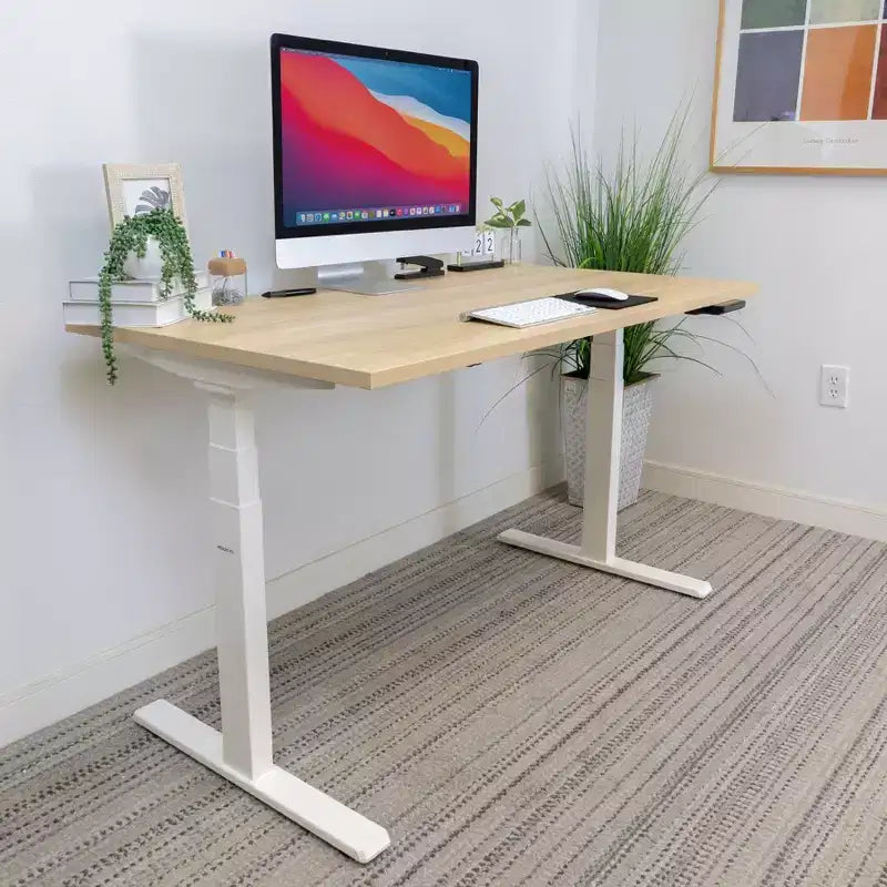 Dual Motor Electric Standing Desk with 55