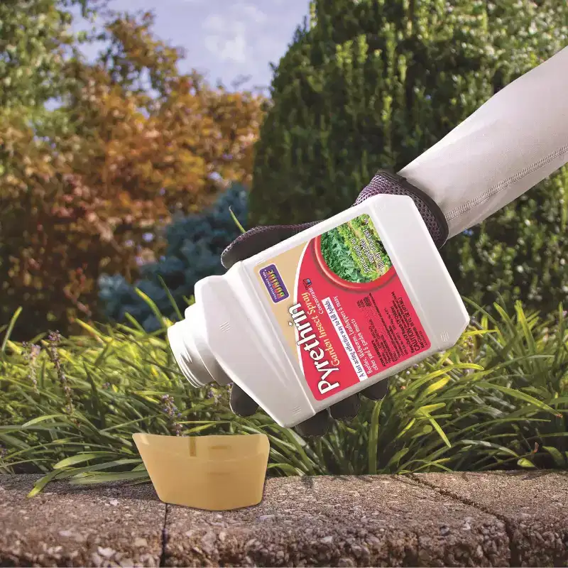 Bonide Pyrethrin Insect Killer Liquid, Concentrate - 16 fl oz