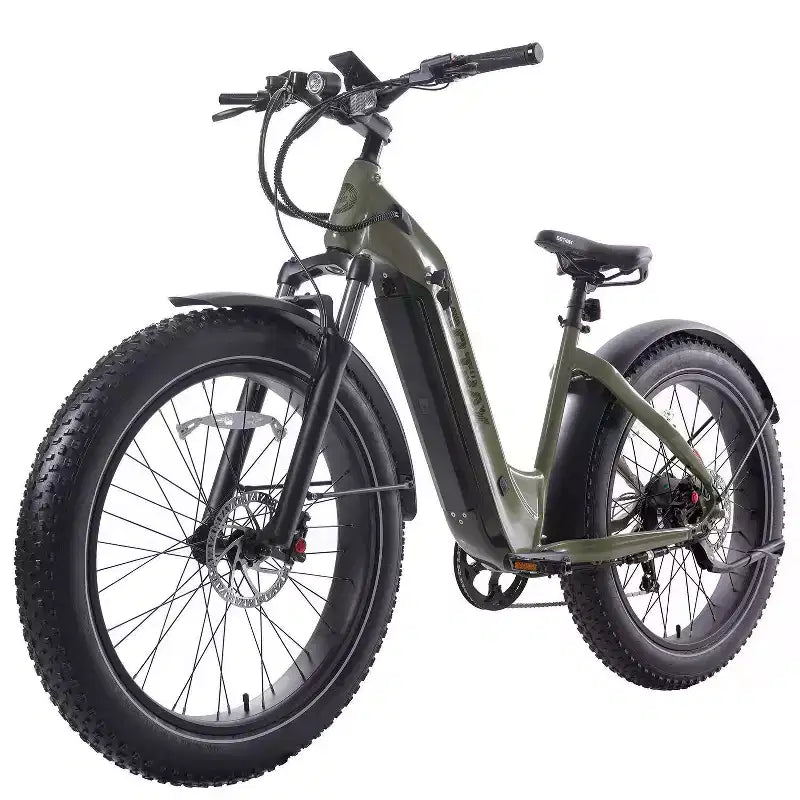 Electric Hybrid Bike