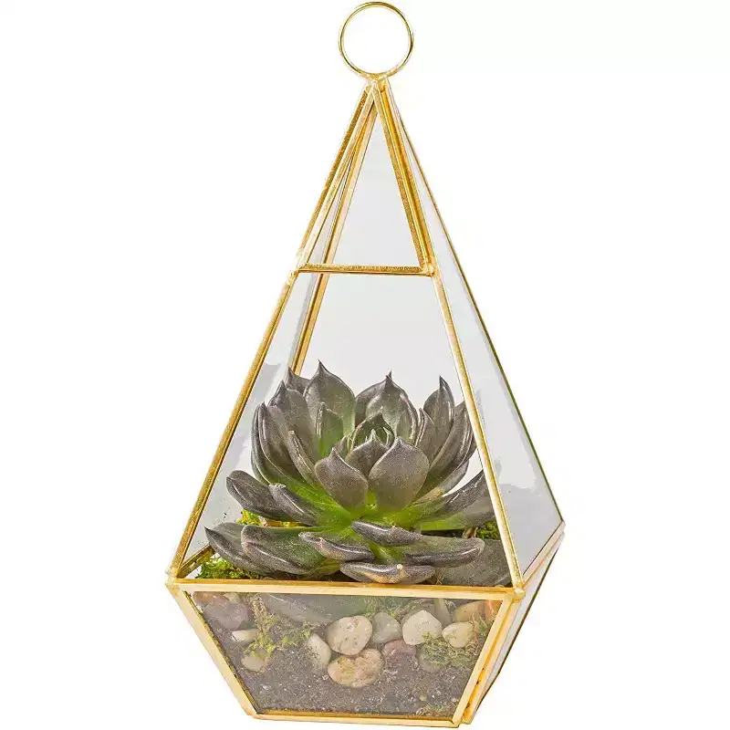 D'Eco Hanging Glass Pyramid Plant Terrarium - Indoor Tabletop Gold Geometric Planter Terrarium for Succulents, Air Plants, Moss - Home & Office Decor