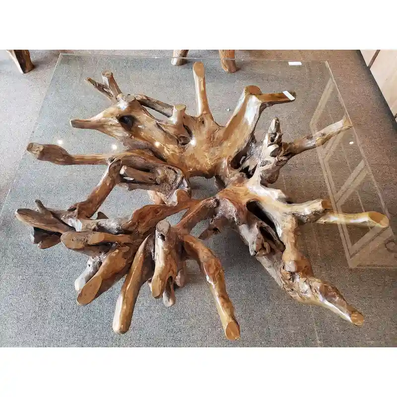 Wood Root Base Coffee Table with Square Glass Top